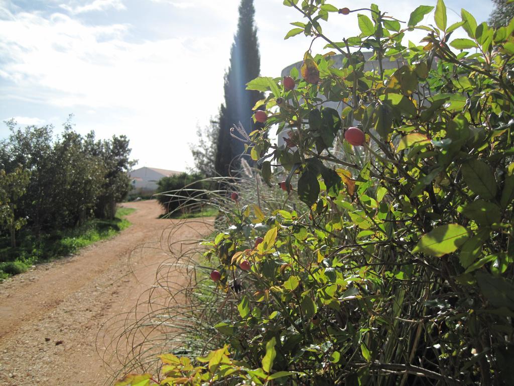 Quinta Das Seis Marias Villa Lagos Luaran gambar