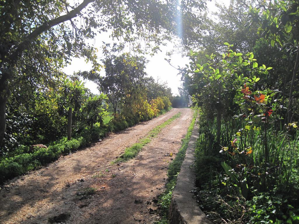 Quinta Das Seis Marias Villa Lagos Luaran gambar