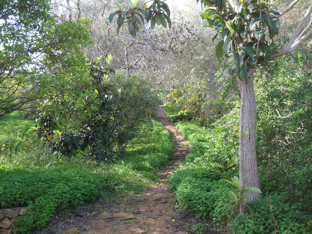 Quinta Das Seis Marias Villa Lagos Luaran gambar